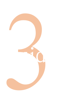 Guide Number